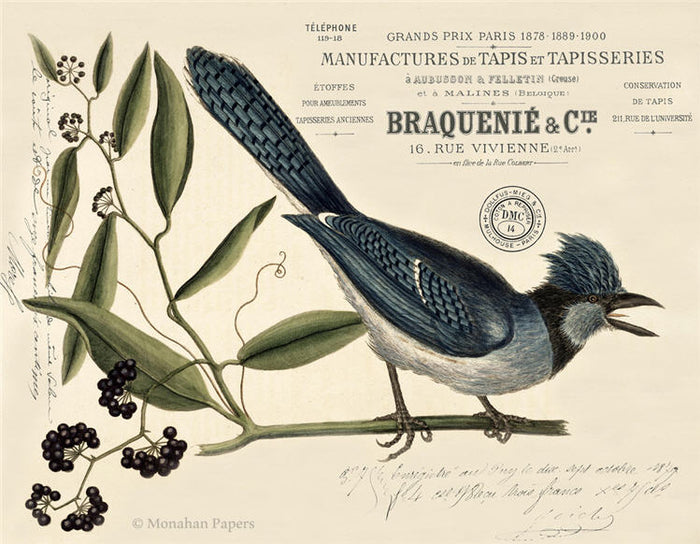 Le Geai Crefted X424