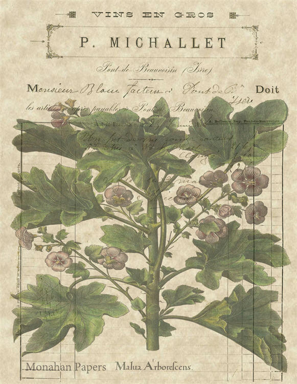 Botanical 11, P. Michallet violets (035) BOT11