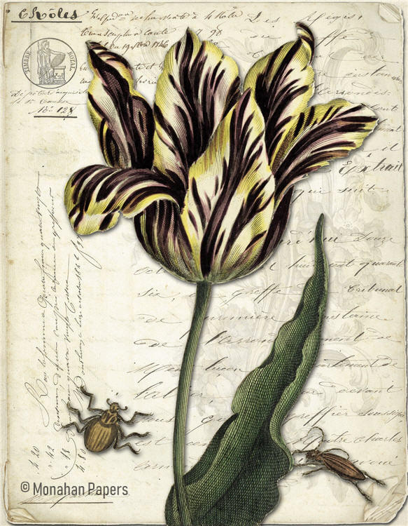 Botanical 121 (035) BOT121