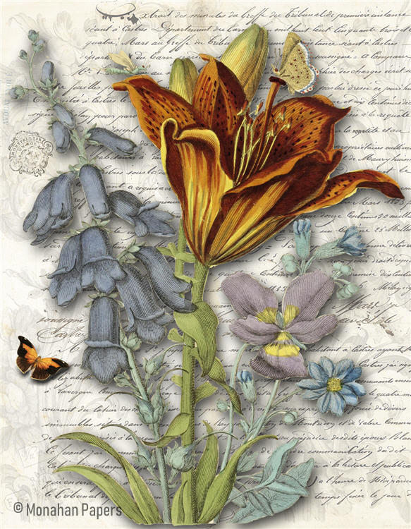 Botanical 124, day lily (031) BOT124