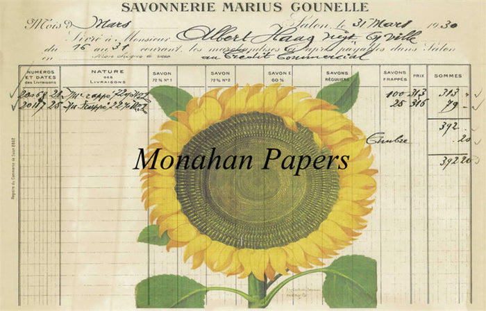 Botanical 12, sunflower ledger (027) BOT12