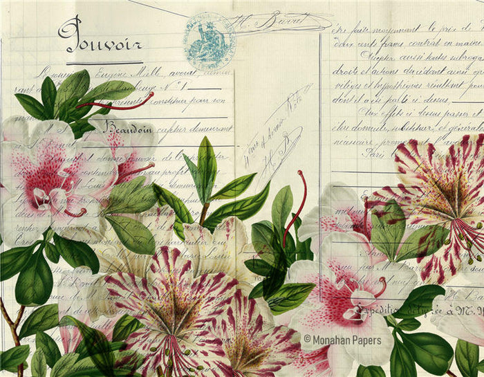 Botanical 93, pink striped lilies (039) BOT93