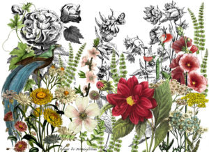 Midnight Garden IOD Transfer