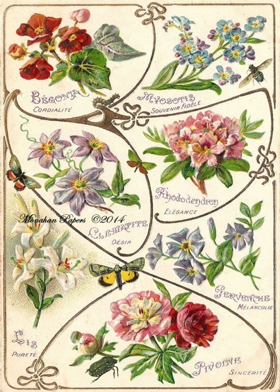 All the Pretty Flowers X295