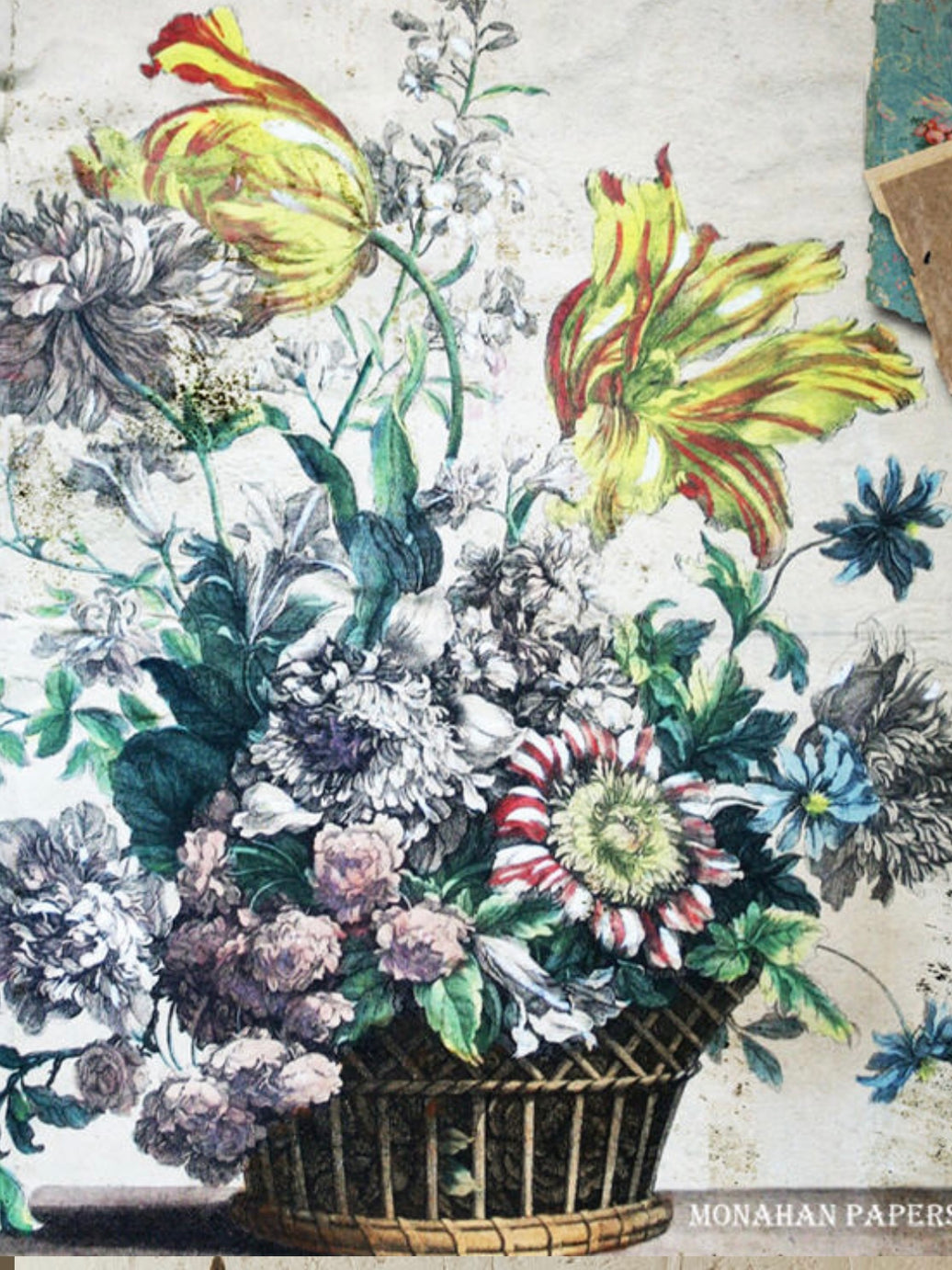 Floral (004) SPS1557