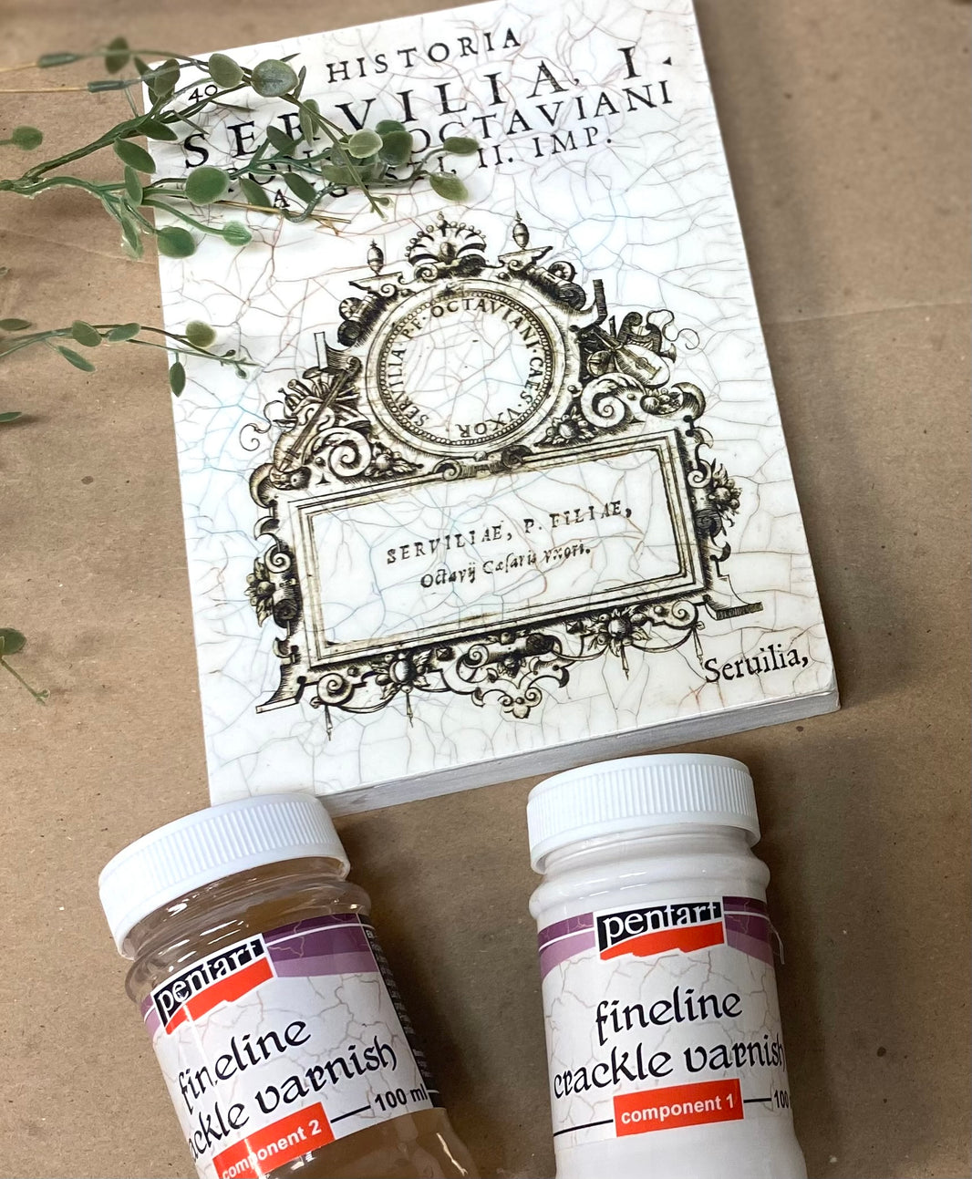 Pentart Fineline Crackle SETS