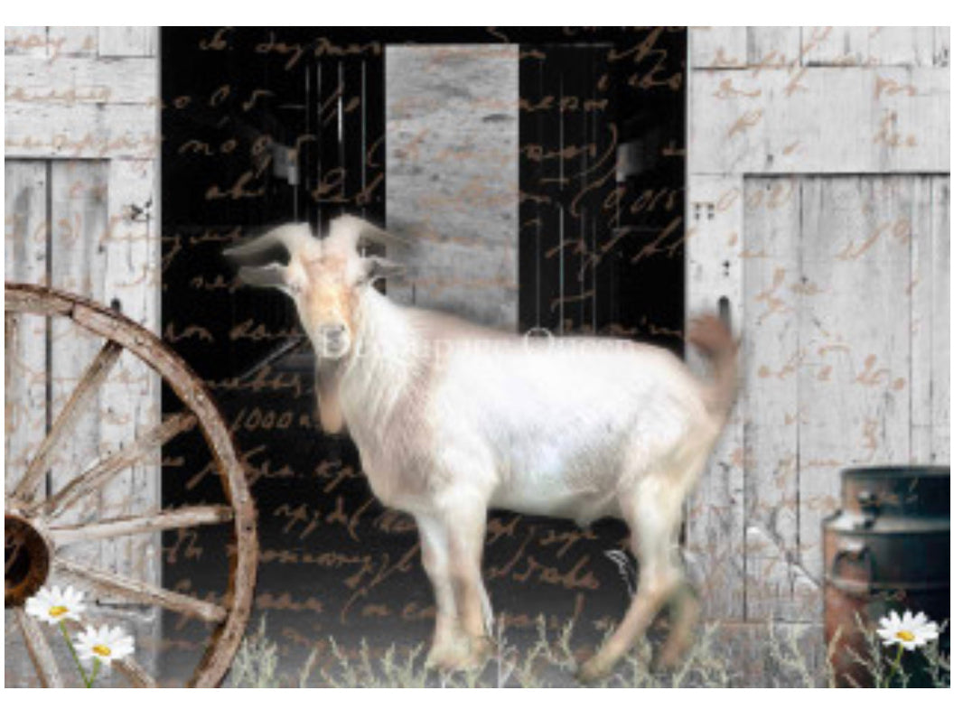 Flipping Furniture Billy