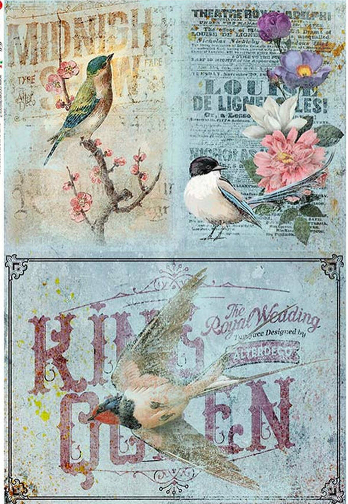 Animals Birds King and Queen 0140