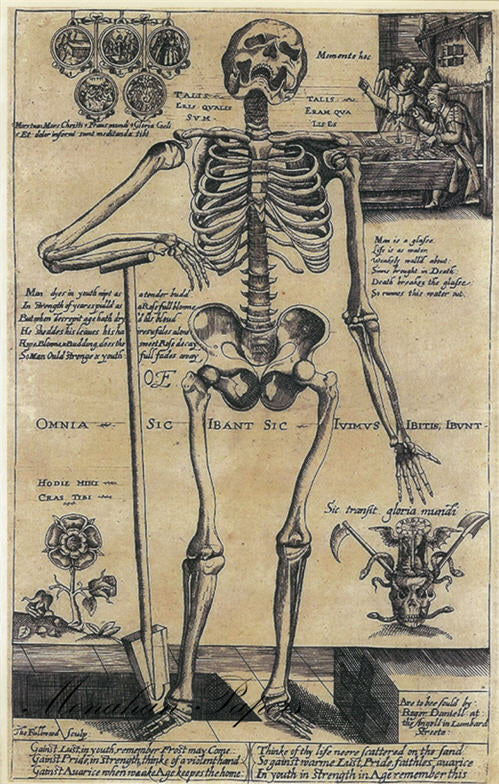 Skeleton (017) SPS428