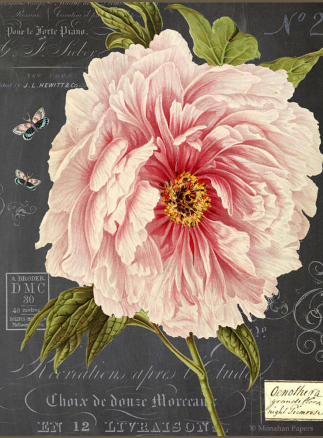 Botanical 203 (028) BOT203