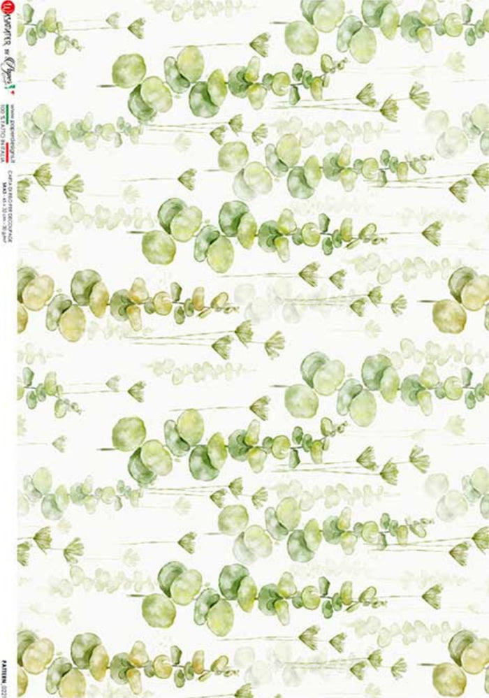 Green Eucalyptus 0221