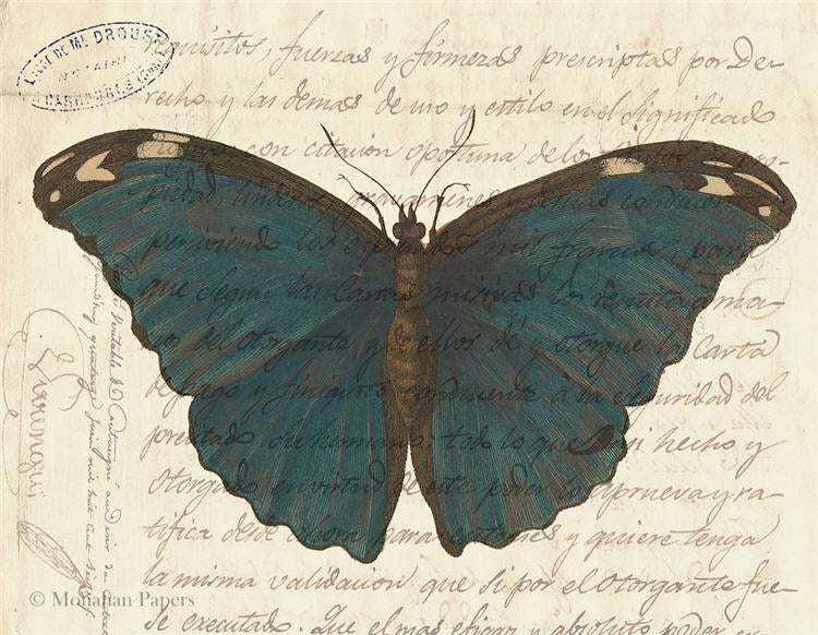 Blue Butterfly (020) X487