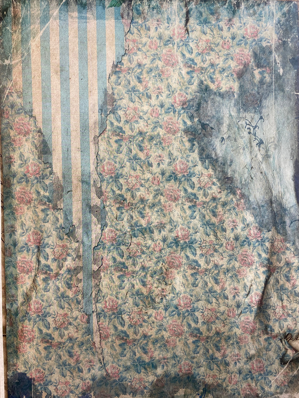 Monahan Blue (037) SPS1711