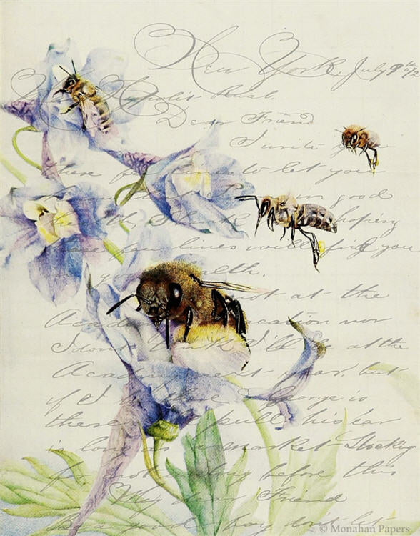 Bees (016) X390