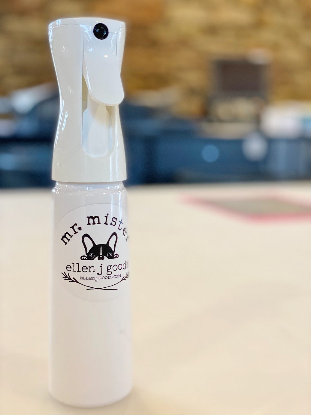 Mr. Mister Spray Bottle
