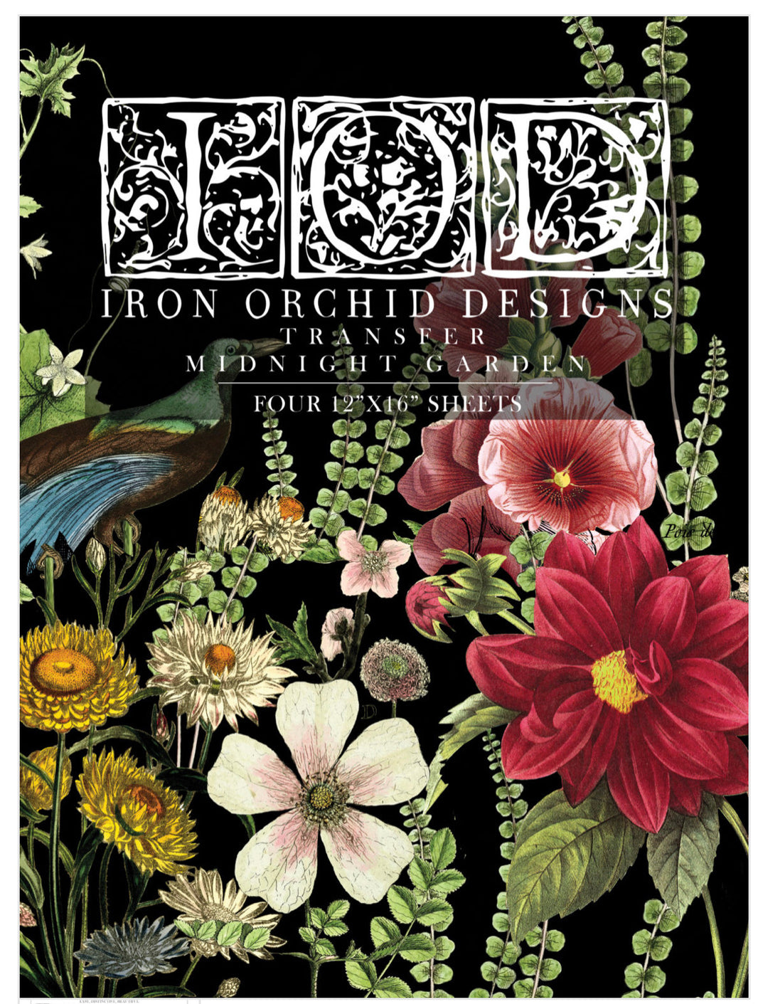 Midnight Garden IOD Transfer