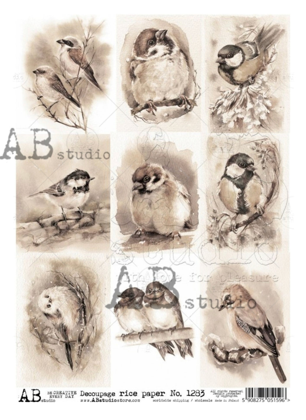 Sepia Birds ABRP_1283