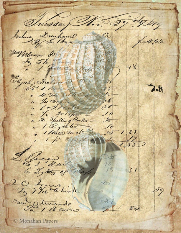 Harps Davidis (014) X262