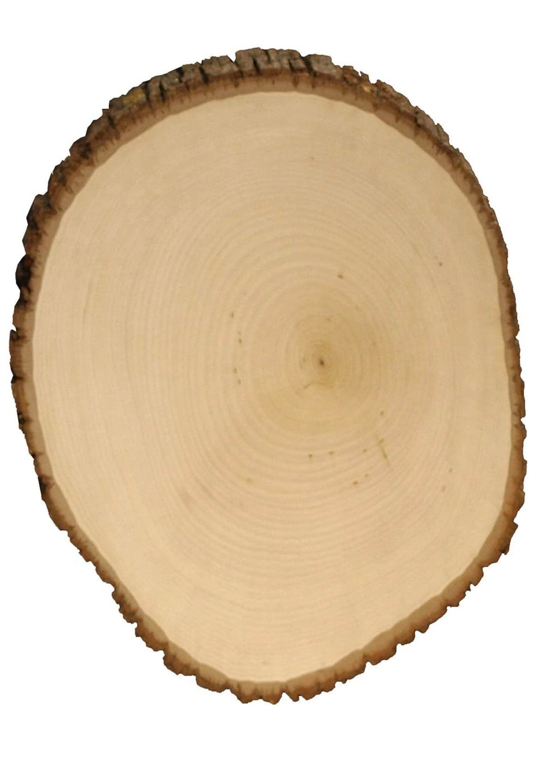 Kiln dried wood slice