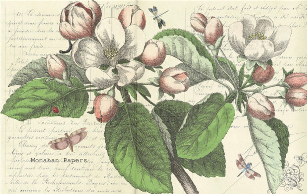 Magnolia Floral (039) X310