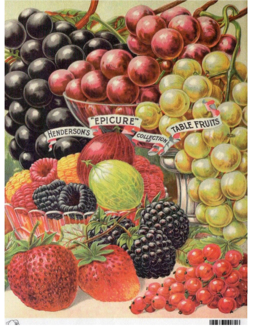 Henderson Table Fruits Epicure Grapes