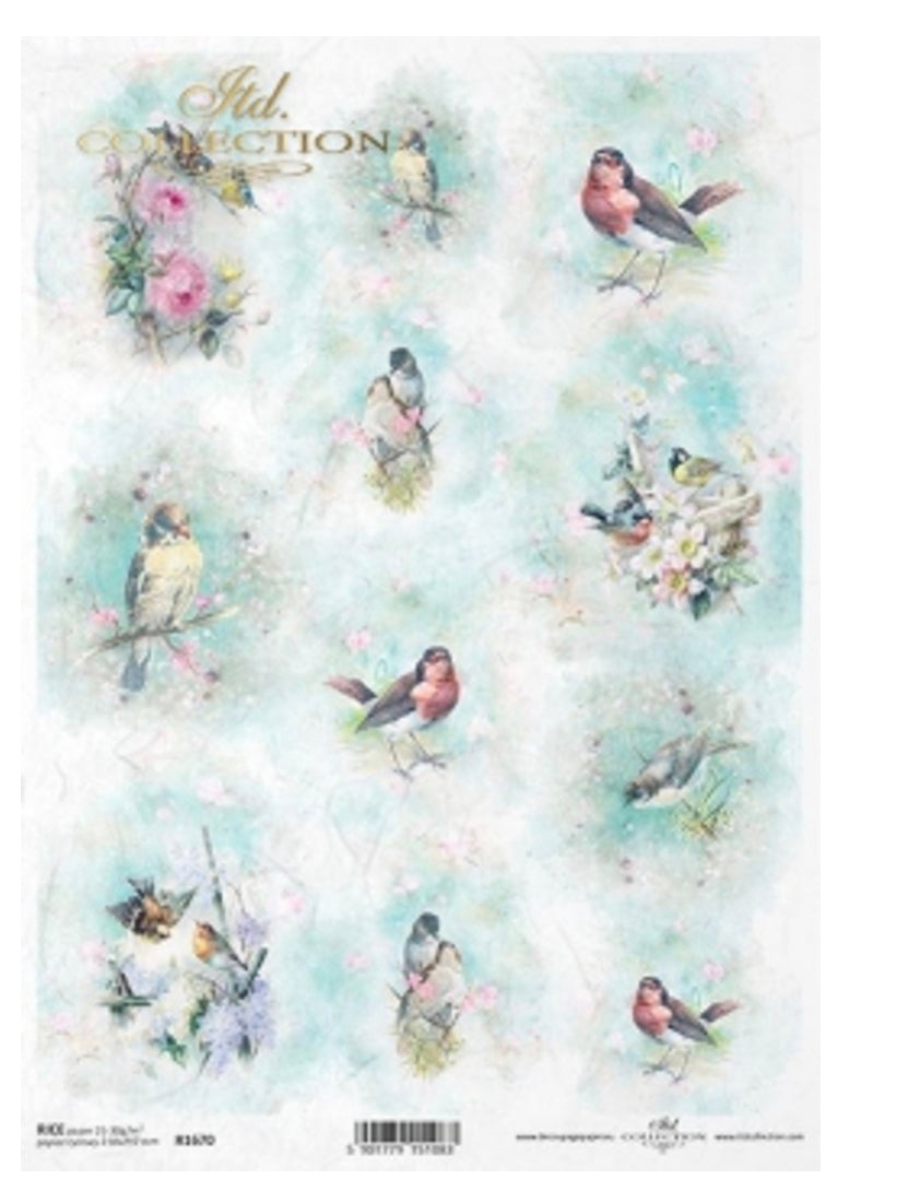Spring Bird Portraits R1670