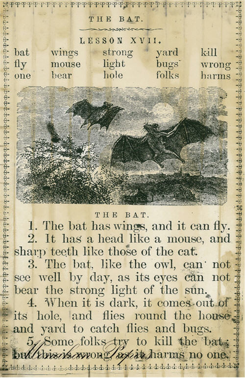 The Bat (017) SPS247