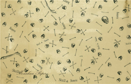 Skull and Bones (017) SPS277