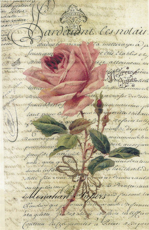 Heureuse Anne Rose (039) SPS358