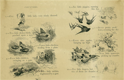 Counters (002) SPS50