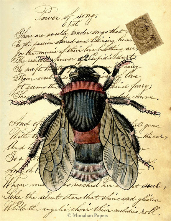 Bee (016) X135