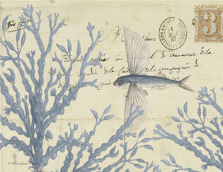 Blue Flying Fish (018) X282