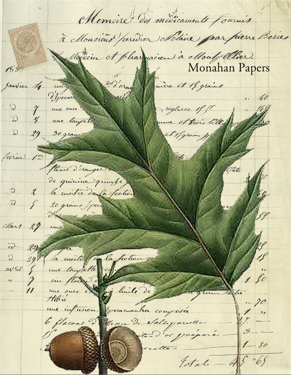 Leaves and Acorns 3 (024) X327