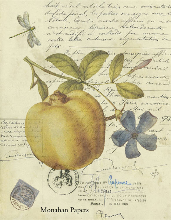 Fruit and Flower (023) X328