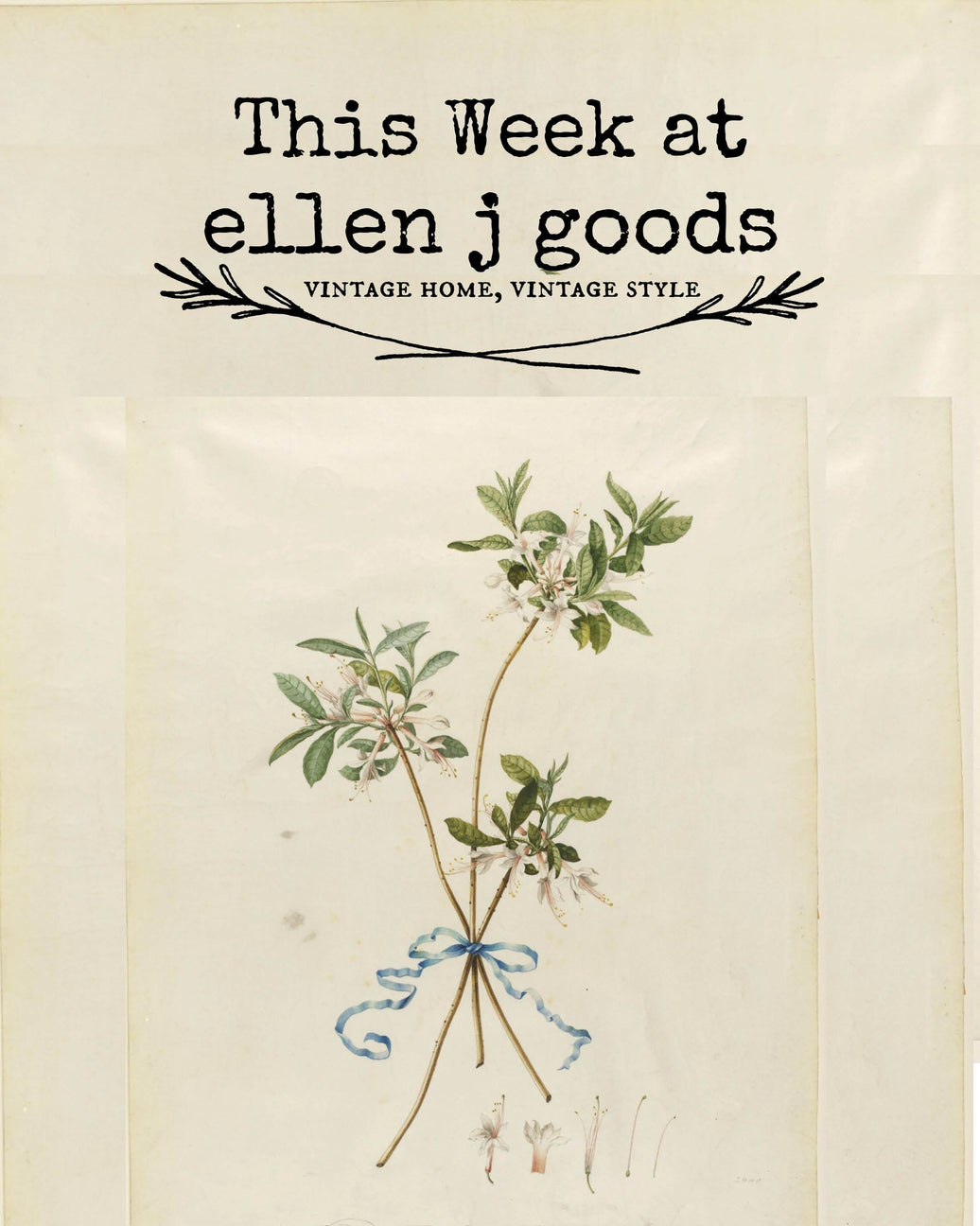 From ellen j goods, with love 5/24