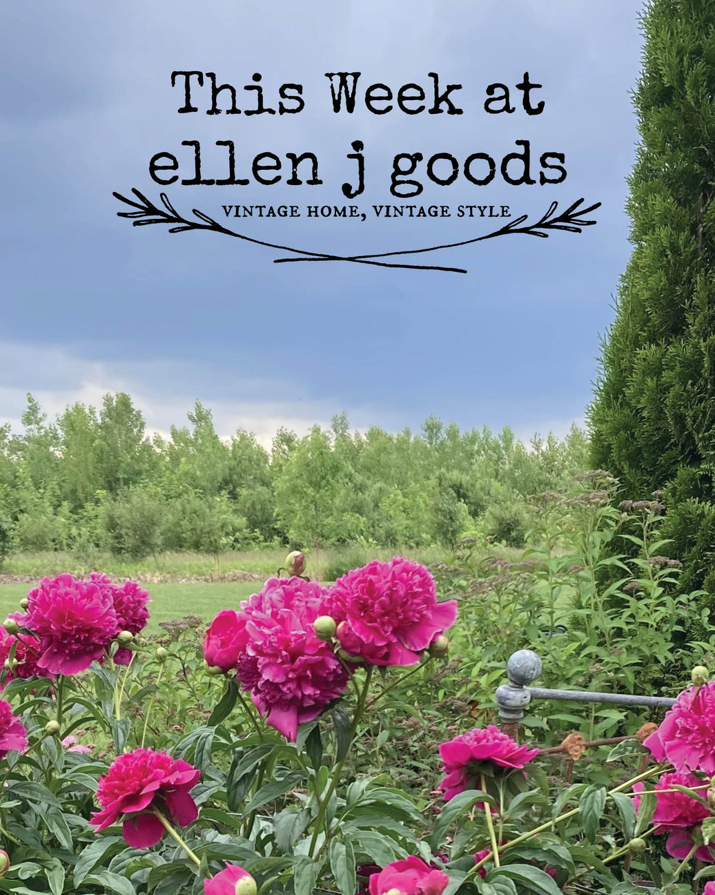 This week at ellen j goods 6/14