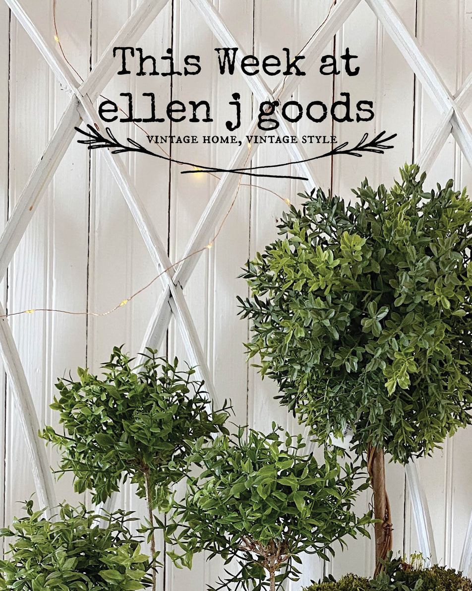 Summer Creative Season is on at ellen j goods 6/7