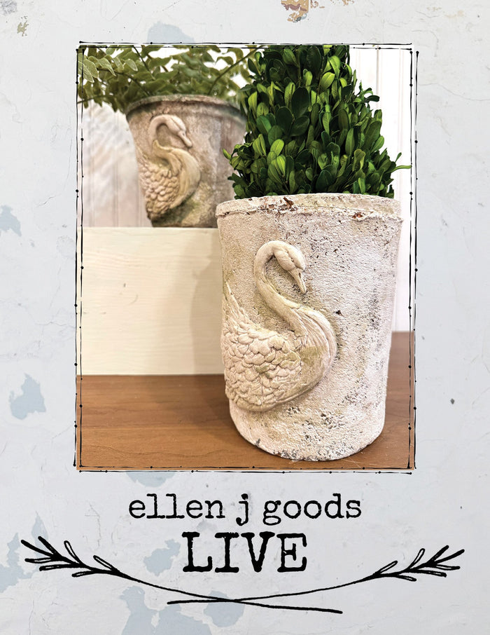 DIY Swan 
Decor Ideas 5/11/2026