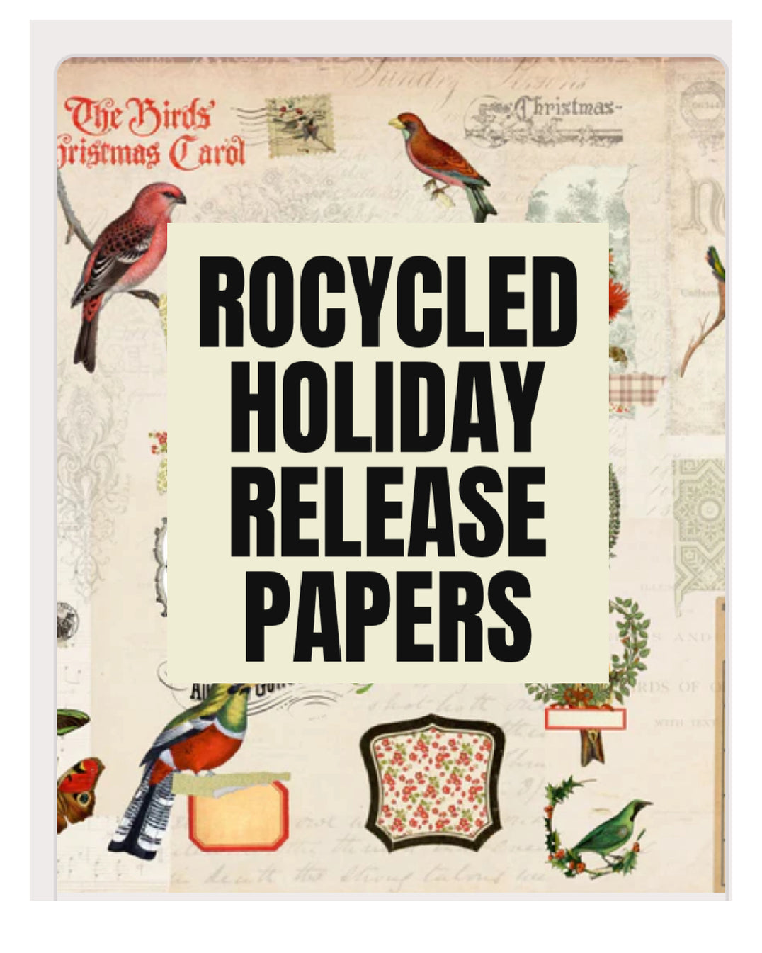 ROYCYCLED FALL/HOLIDAY 2025