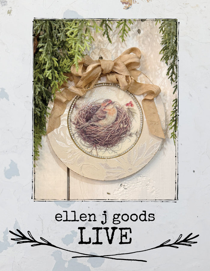 WINTER BIRD ORNAMENT DIY 10/20/25