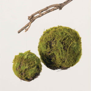 MOSS COVERED ORB