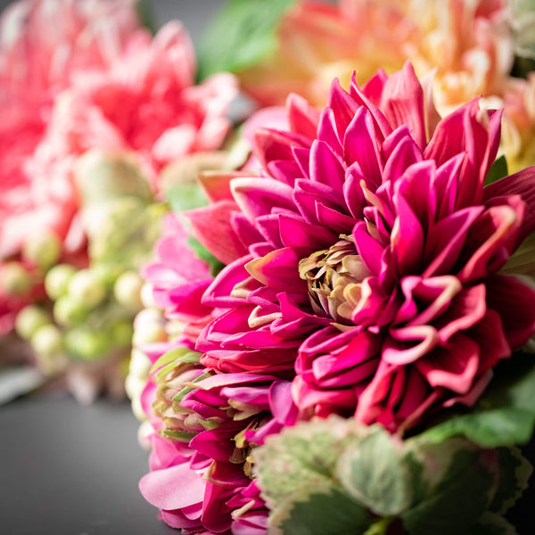 PINK SPRING DAHLIA BUSH