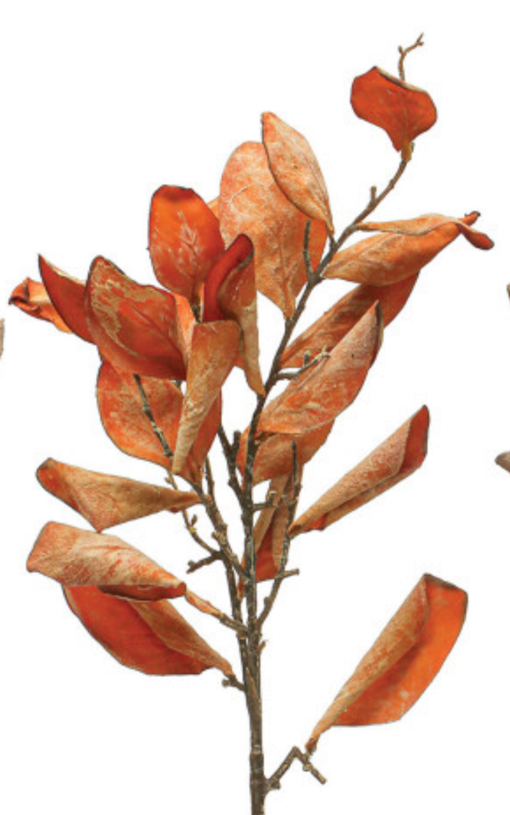 Faux Painted  Distressed Leaves