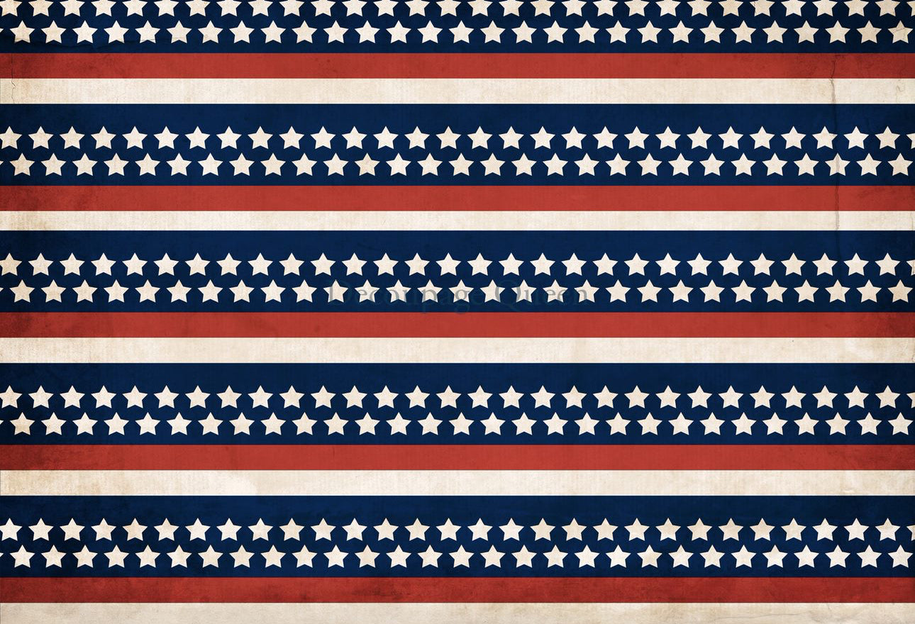 Stars and Stripes 0583