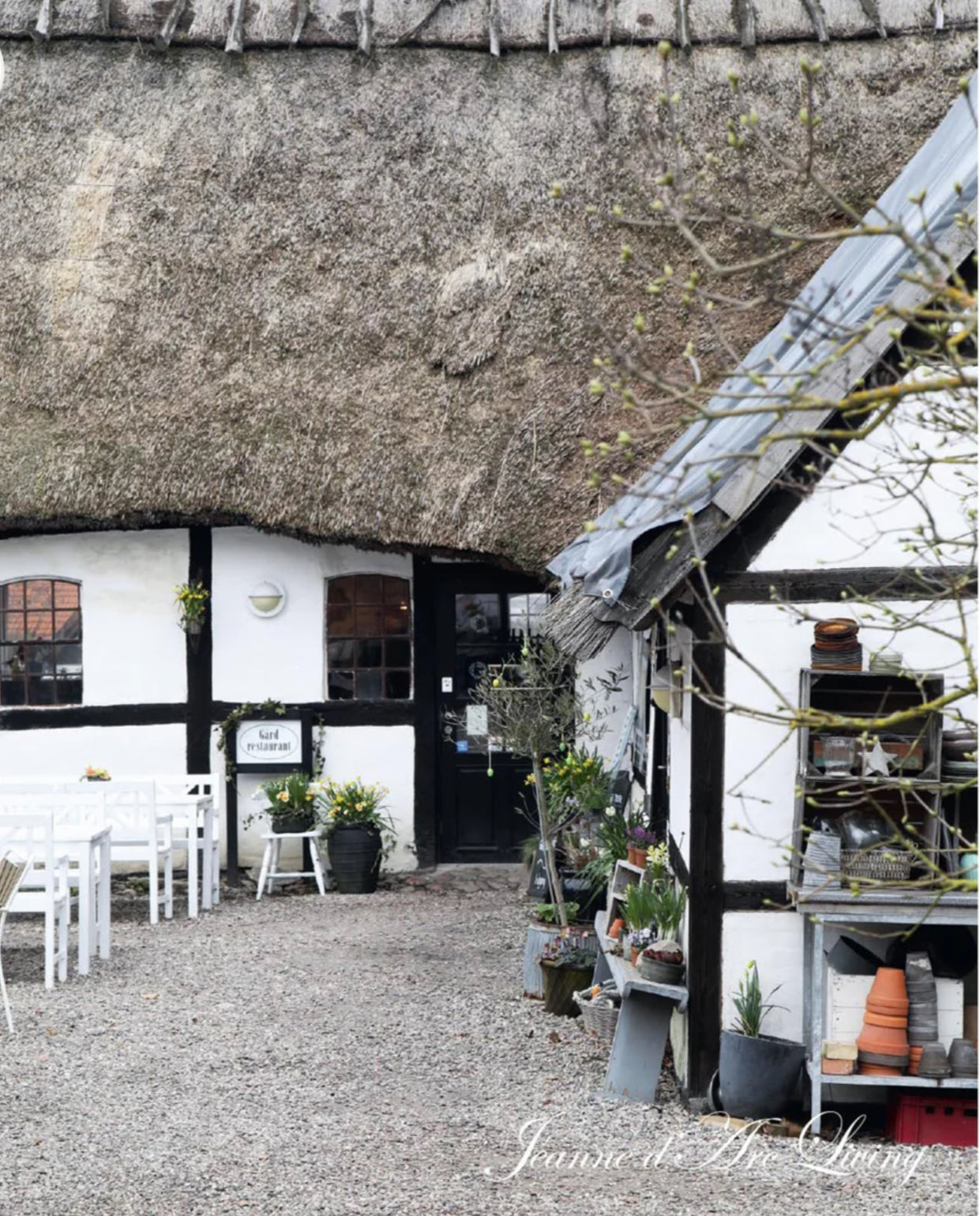 Jeanne d'Arc Living - Issue #2, 2025