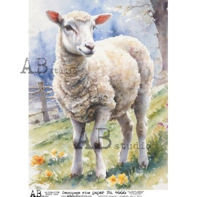 Gentle Lamb Watercolor Illustration Decoupage Paper - A4