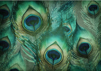 Jeweled Feathers 0565