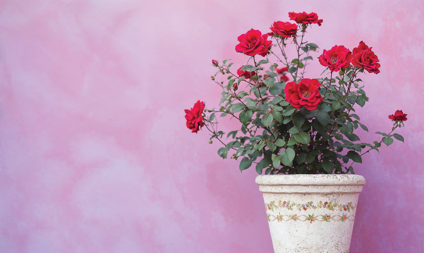 Ditsy Blooms IOD Paint Inlay 12x16 Pad