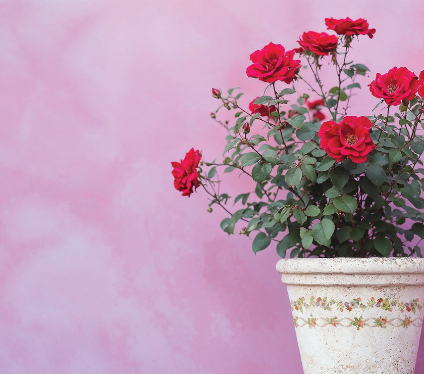 Ditsy Blooms IOD Paint Inlay 12x16 Pad