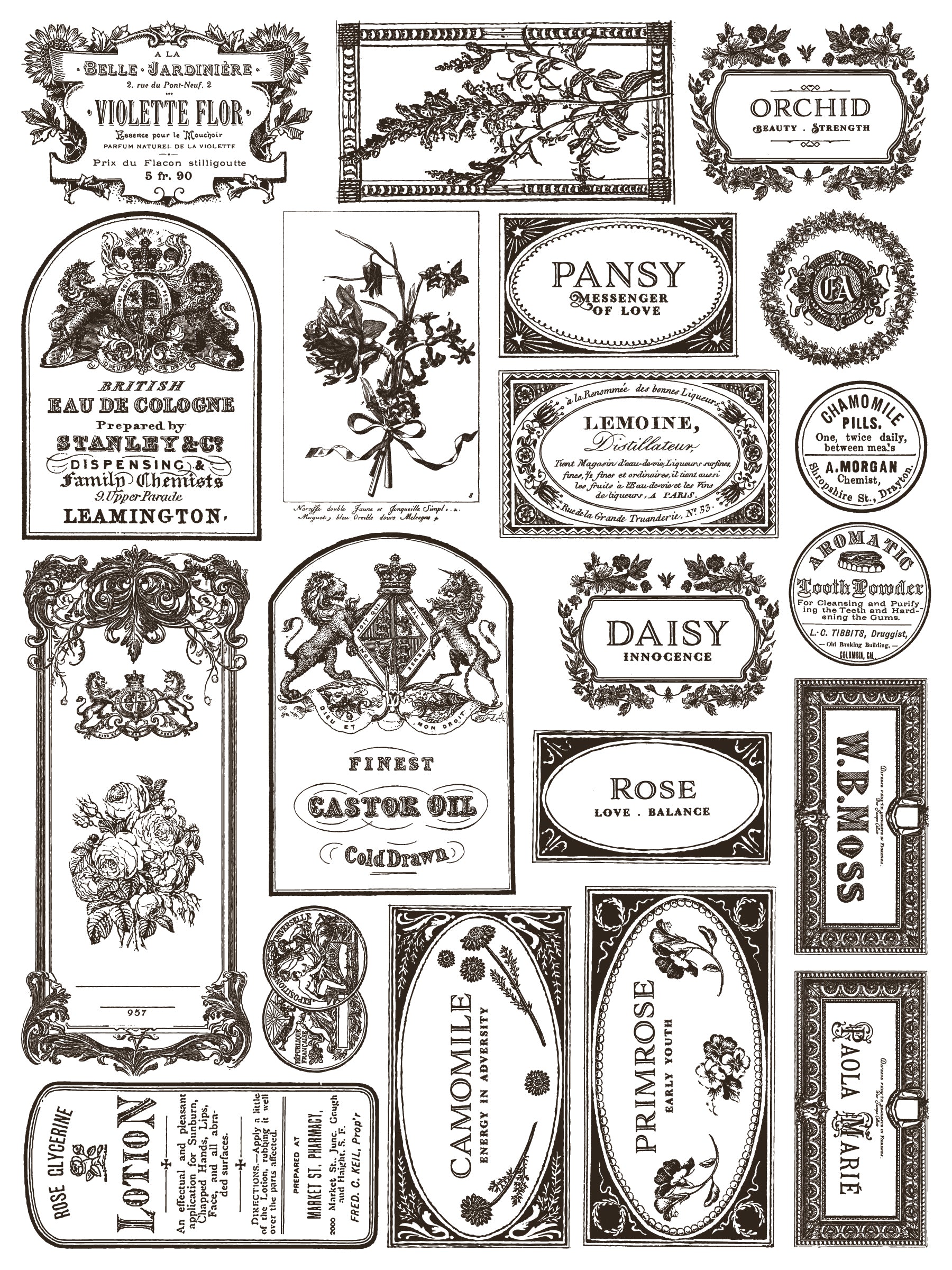 Floriography IOD Paint Inlay 12x16 Pad